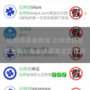 比特派最新教程 比特派钱包安全吗？专家详解其全面优势