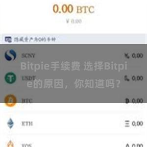 Bitpie手续费 选择Bitpie的原因，你知道吗？