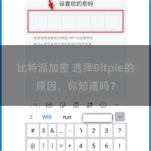 比特派加密 选择Bitpie的原因，你知道吗？