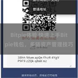 Bitpie体验 快速上手Bitpie钱包，多链资产管理技巧