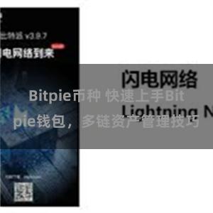 Bitpie币种 快速上手Bitpie钱包，多链资产管理技巧