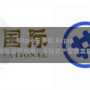 Bitpie安卓版 Bitpie钱包操作指南：多链资产管理攻略