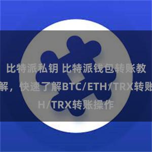 比特派私钥 比特派钱包转账教程详解，快速了解BTC/ETH/TRX转账操作