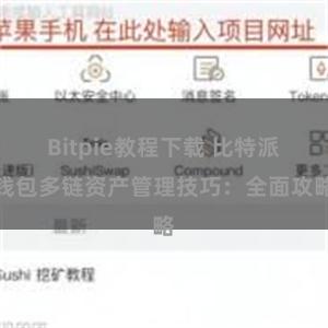 Bitpie教程下载 比特派钱包多链资产管理技巧：全面攻略