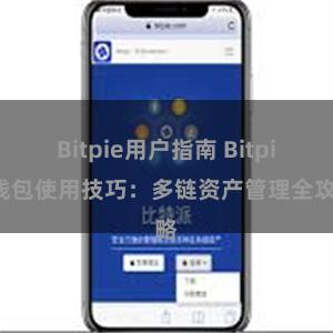 Bitpie用户指南 Bitpie钱包使用技巧：多链资产管理全攻略