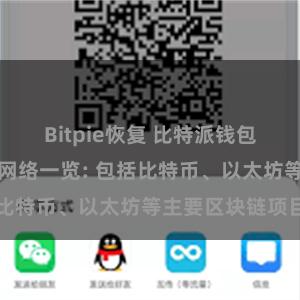 Bitpie恢复 比特派钱包支持的区块链网络一览: 包括比特币、以太坊等主要区块链项目