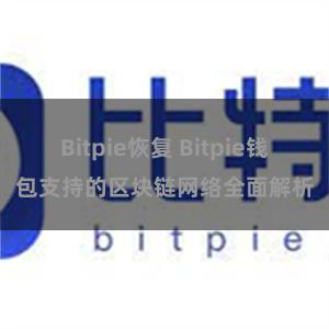 Bitpie恢复 Bitpie钱包支持的区块链网络全面解析