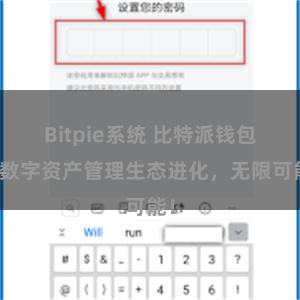 Bitpie系统 比特派钱包：数字资产管理生态进化，无限可能！