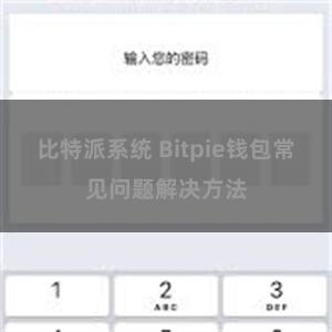 比特派系统 Bitpie钱包常见问题解决方法