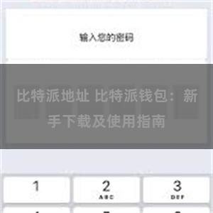 比特派地址 比特派钱包：新手下载及使用指南