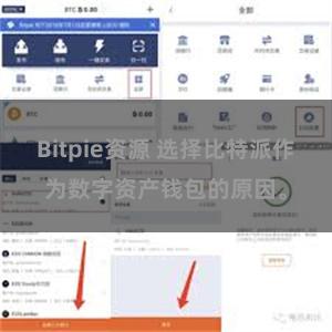 Bitpie资源 选择比特派作为数字资产钱包的原因。