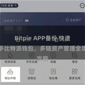 Bitpie APP备份 快速上手比特派钱包，多链资产管理全攻略