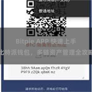 Bitpie APP 快速上手比特派钱包，多链资产管理全攻略