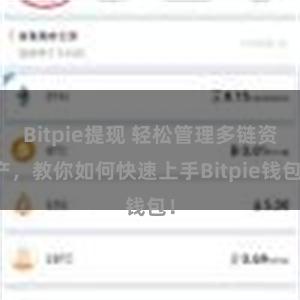 Bitpie提现 轻松管理多链资产，教你如何快速上手Bitpie钱包！