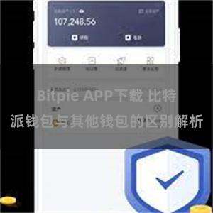 Bitpie APP下载 比特派钱包与其他钱包的区别解析