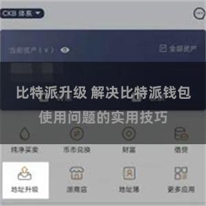 比特派升级 解决比特派钱包使用问题的实用技巧