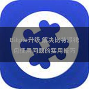 Bitpie升级 解决比特派钱包使用问题的实用技巧