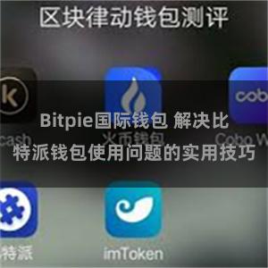 Bitpie国际钱包 解决比特派钱包使用问题的实用技巧