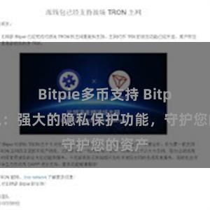 Bitpie多币支持 Bitpie钱包：强大的隐私保护功能，守护您的资产