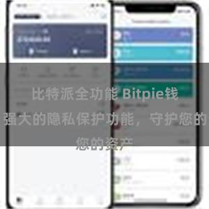 比特派全功能 Bitpie钱包：强大的隐私保护功能，守护您的资产