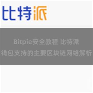 Bitpie安全教程 比特派钱包支持的主要区块链网络解析