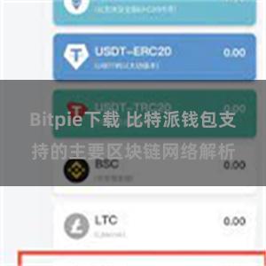 Bitpie下载 比特派钱包支持的主要区块链网络解析