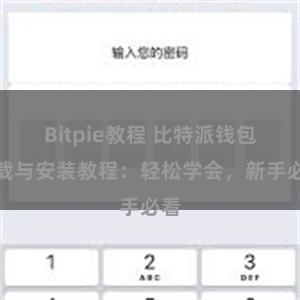 Bitpie教程 比特派钱包下载与安装教程：轻松学会，新手必看