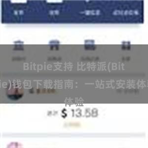 Bitpie支持 比特派(Bitpie)钱包下载指南：一站式安装体验