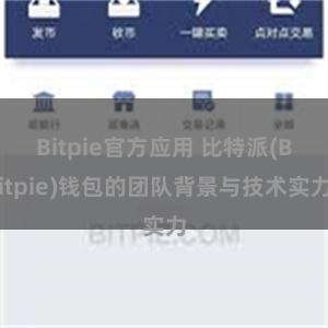 Bitpie官方应用 比特派(Bitpie)钱包的团队背景与技术实力