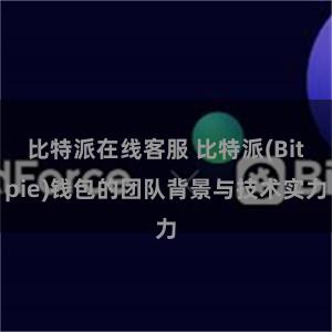 比特派在线客服 比特派(Bitpie)钱包的团队背景与技术实力