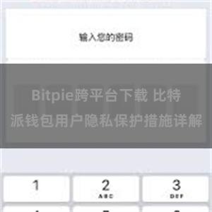 Bitpie跨平台下载 比特派钱包用户隐私保护措施详解