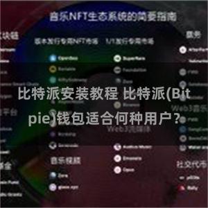 比特派安装教程 比特派(Bitpie)钱包适合何种用户？