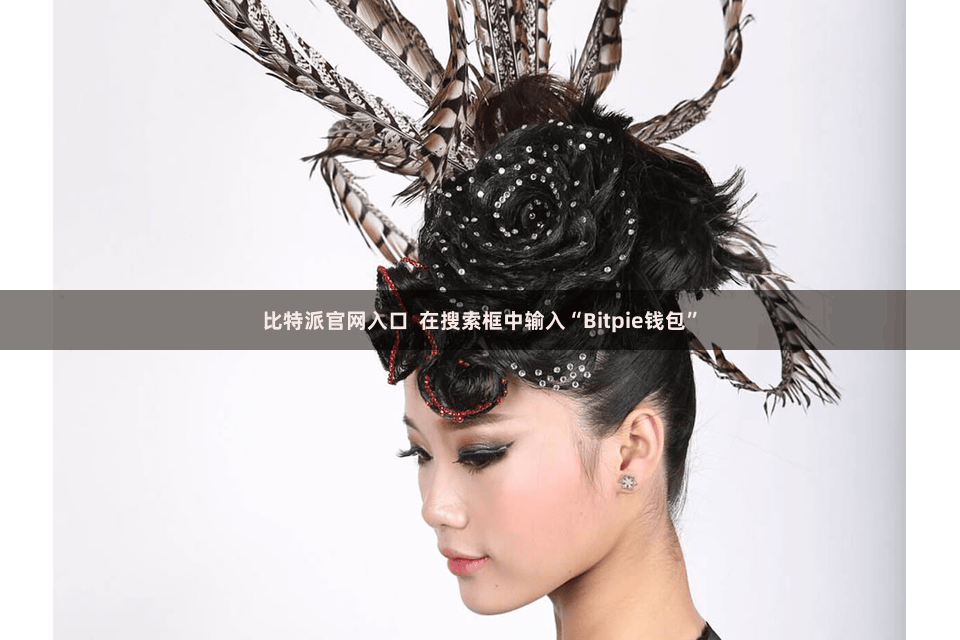 比特派官网入口  在搜索框中输入“Bitpie钱包”
