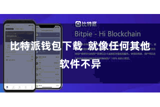 比特派钱包下载  就像任何其他软件不异
